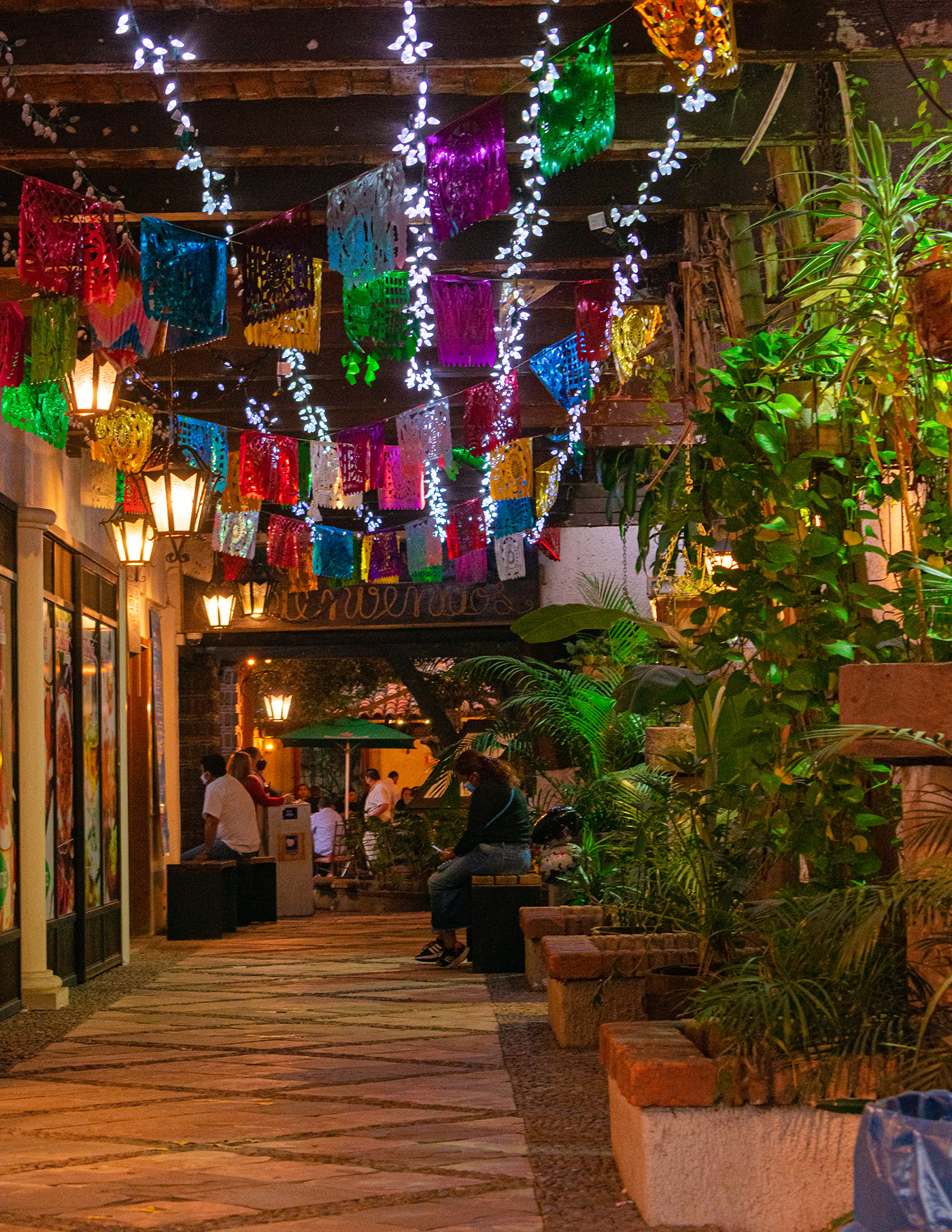 Tlaquepaque Rosa-6