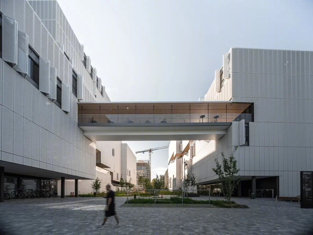 早稻田大学村上春树图书馆丨日本东京丨隈研吾建筑都市设计事务所-114