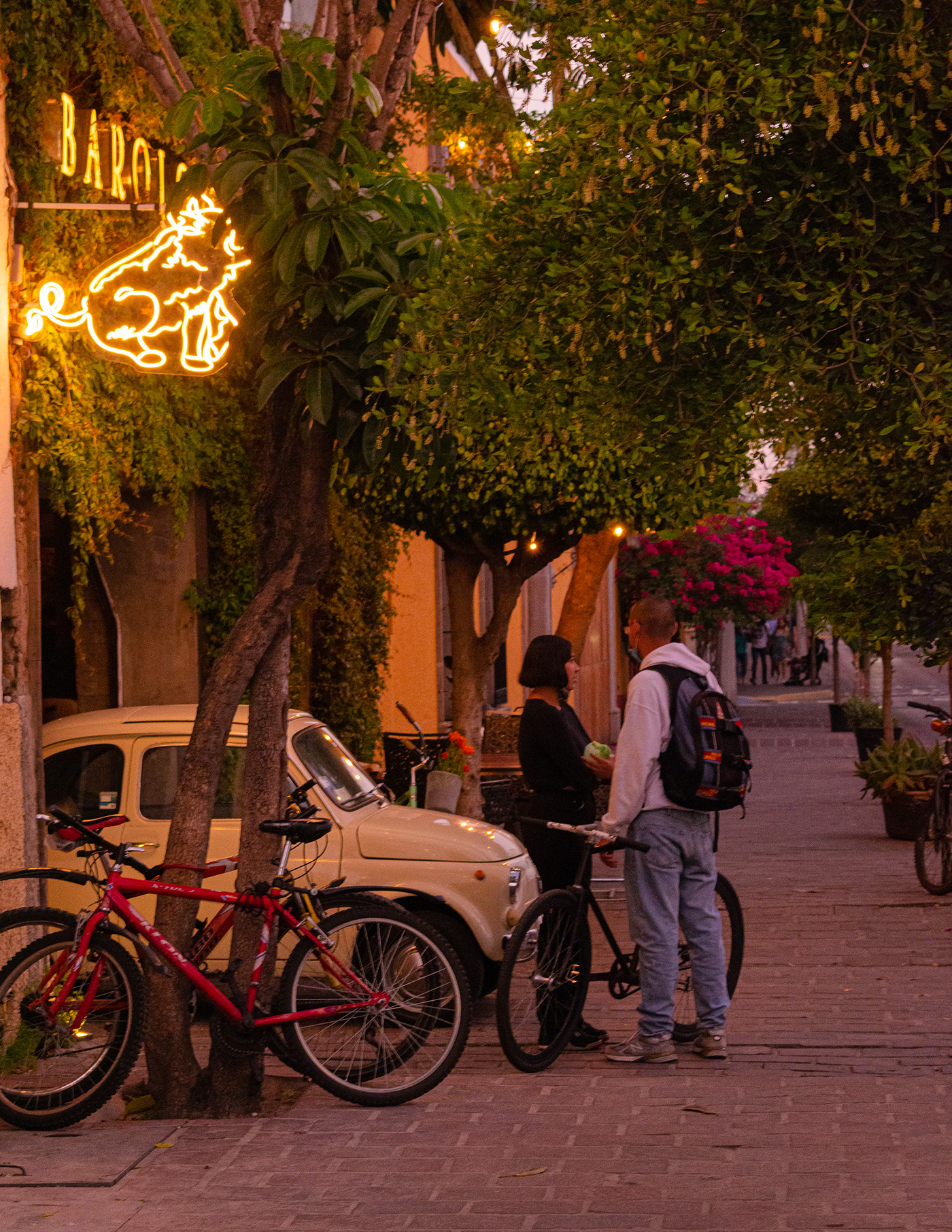 Tlaquepaque Rosa-7