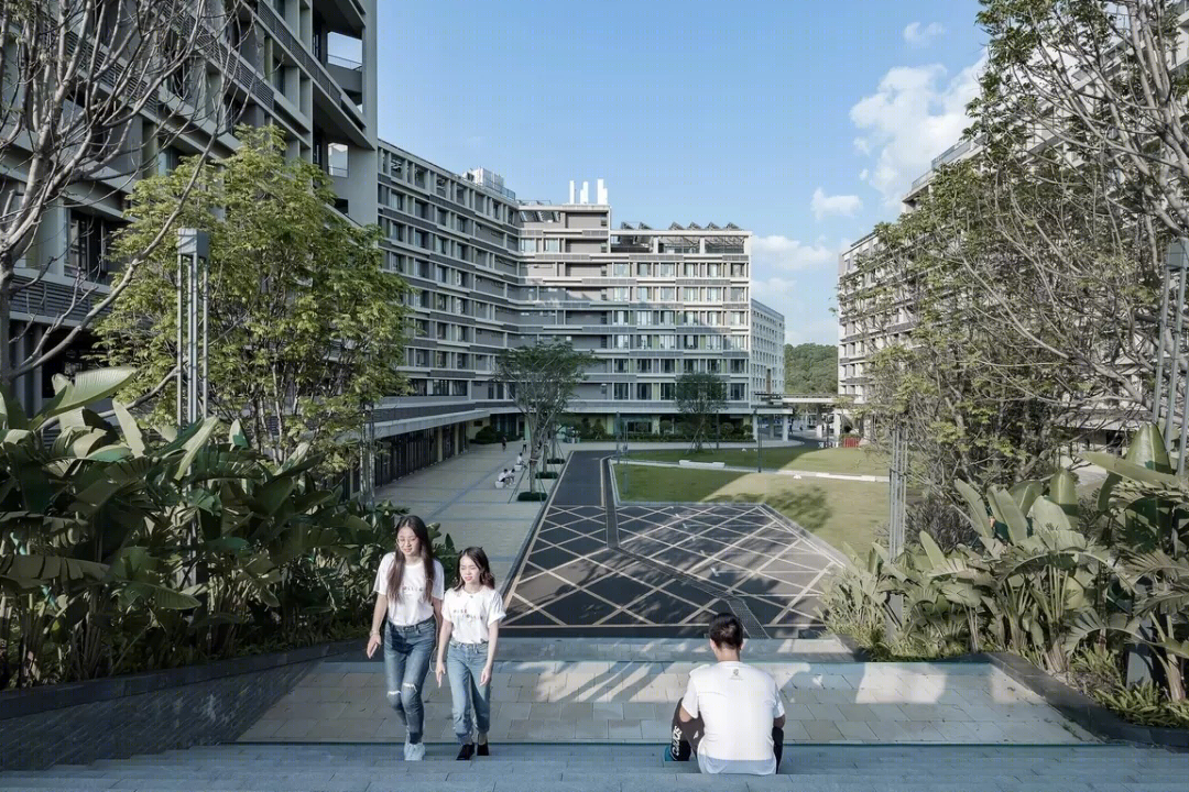 香港中文大学思廷学院-20