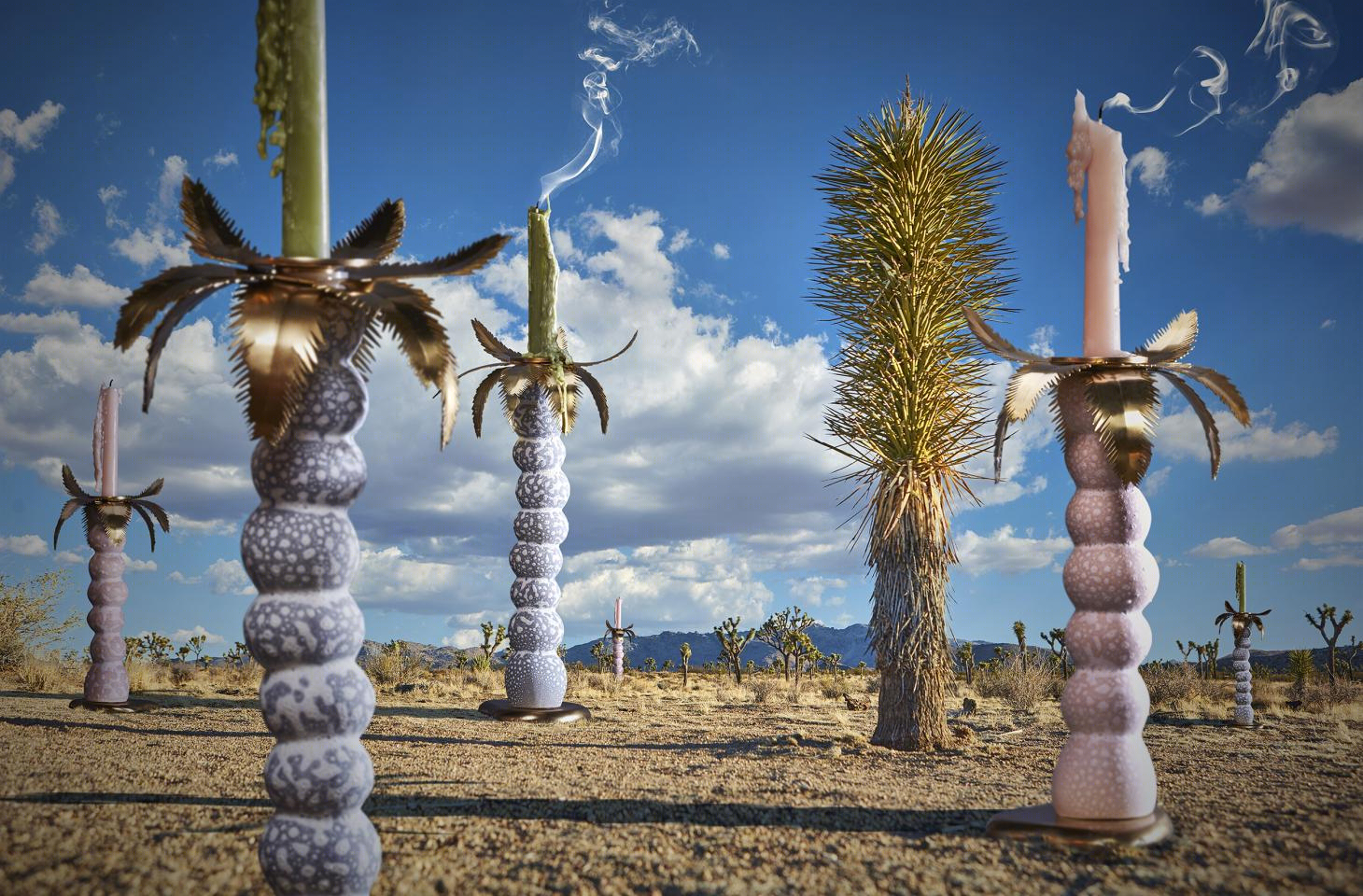 奇幻陶瓷 | Joshua Tree 中的 Haas L’Objet collection-34