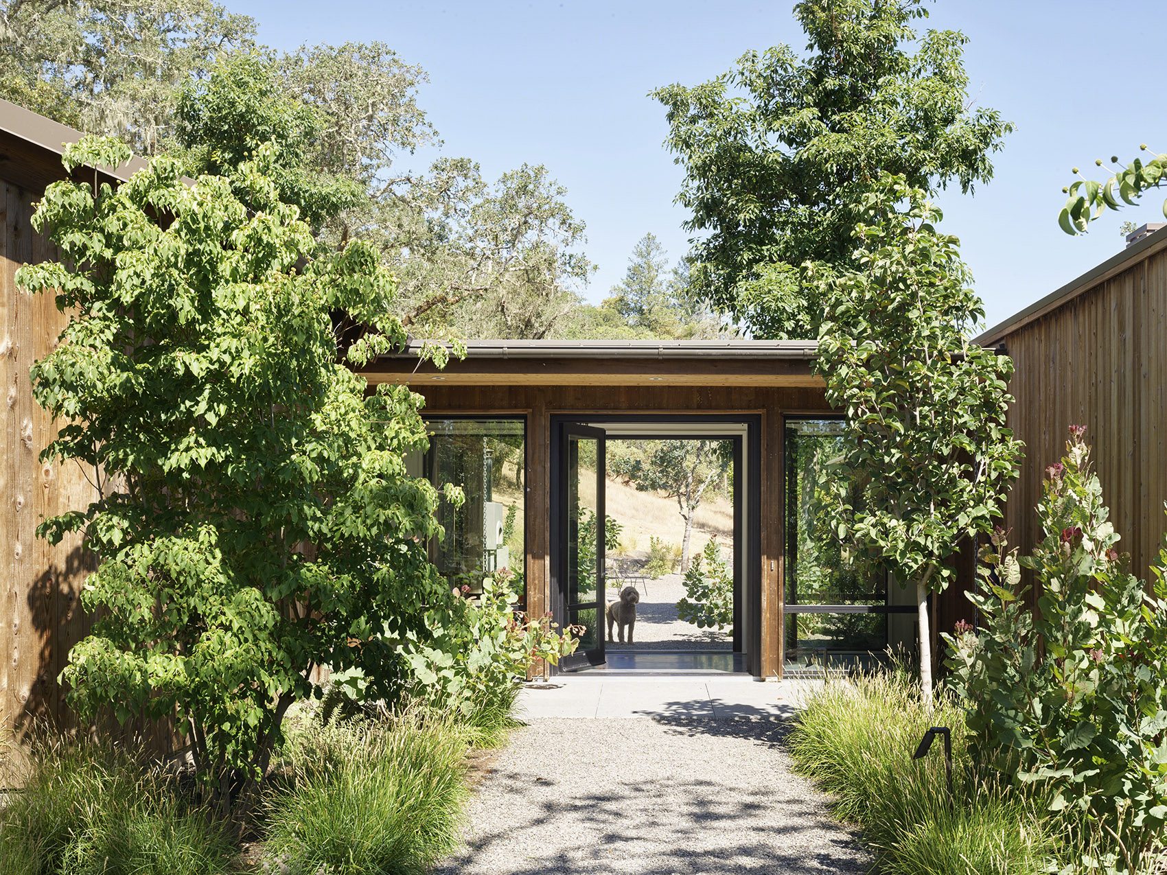 蓝色橡树住宅丨美国加利福尼亚丨Richard Beard Architects,BAMO-9