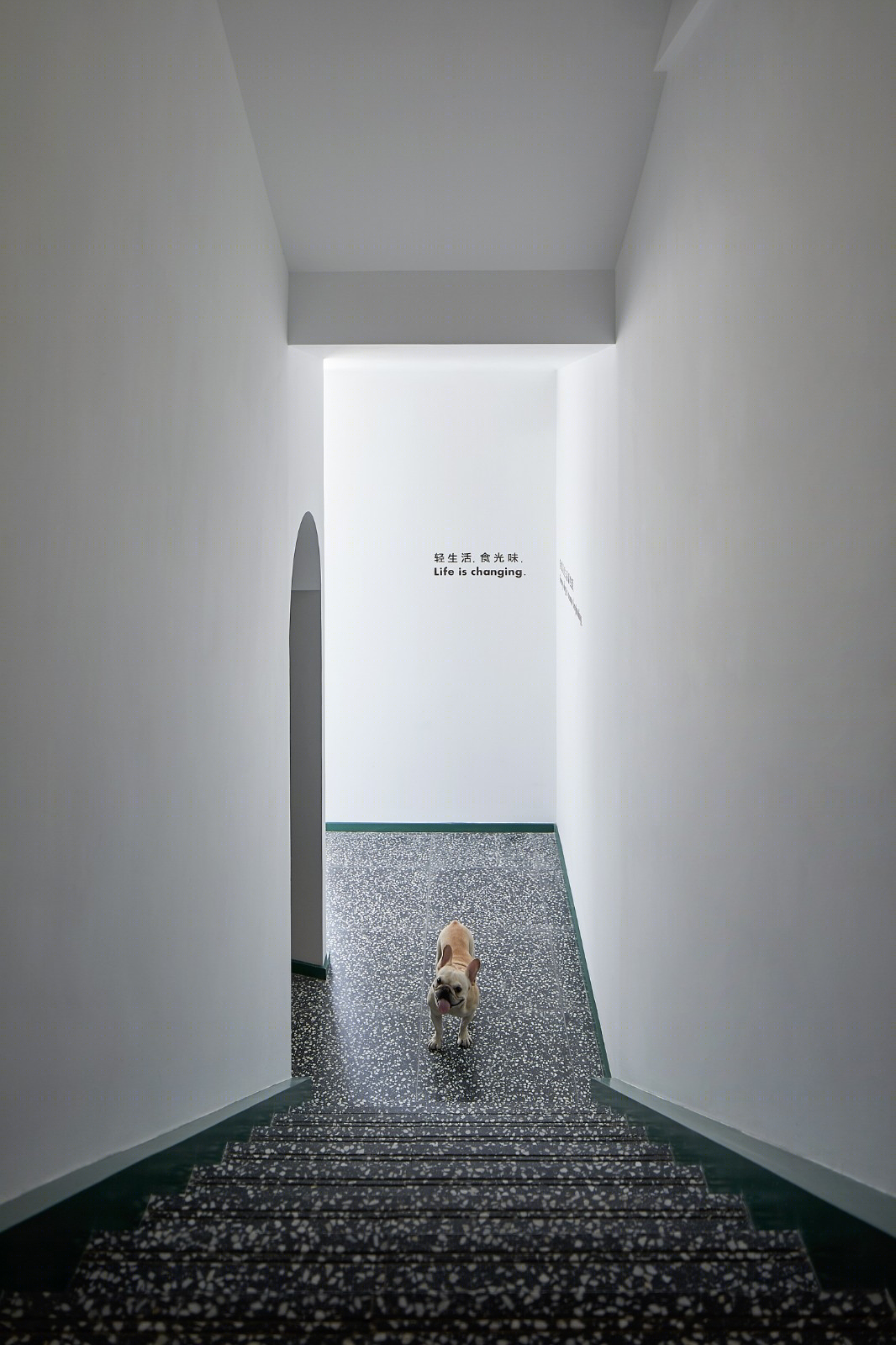 七日食轻食餐厅 | 轻享健康生活-6