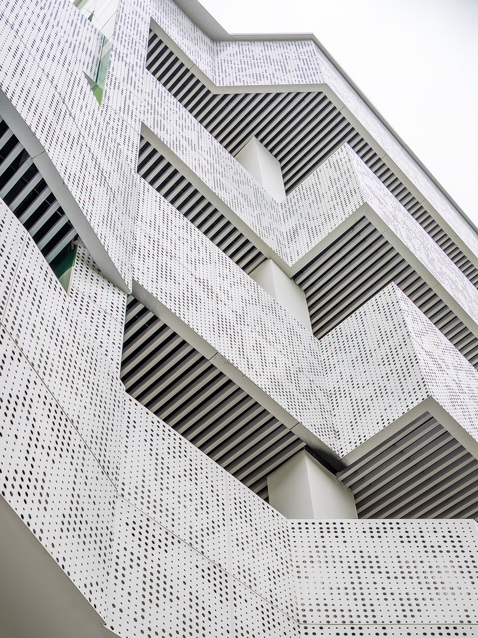 温州道尔顿小学-21