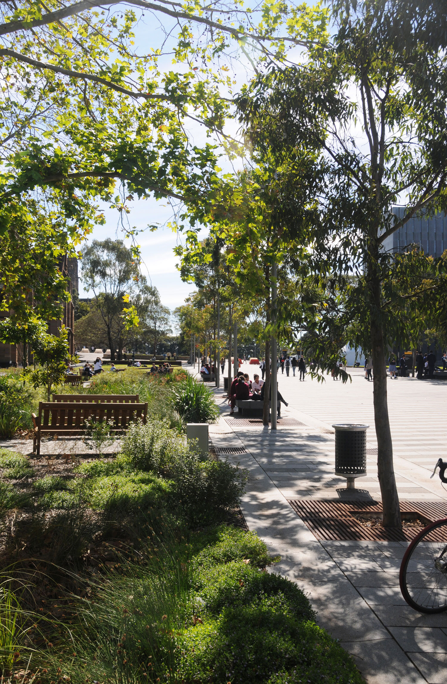 悉尼大学景观 | 公共领域重塑与水管理-12