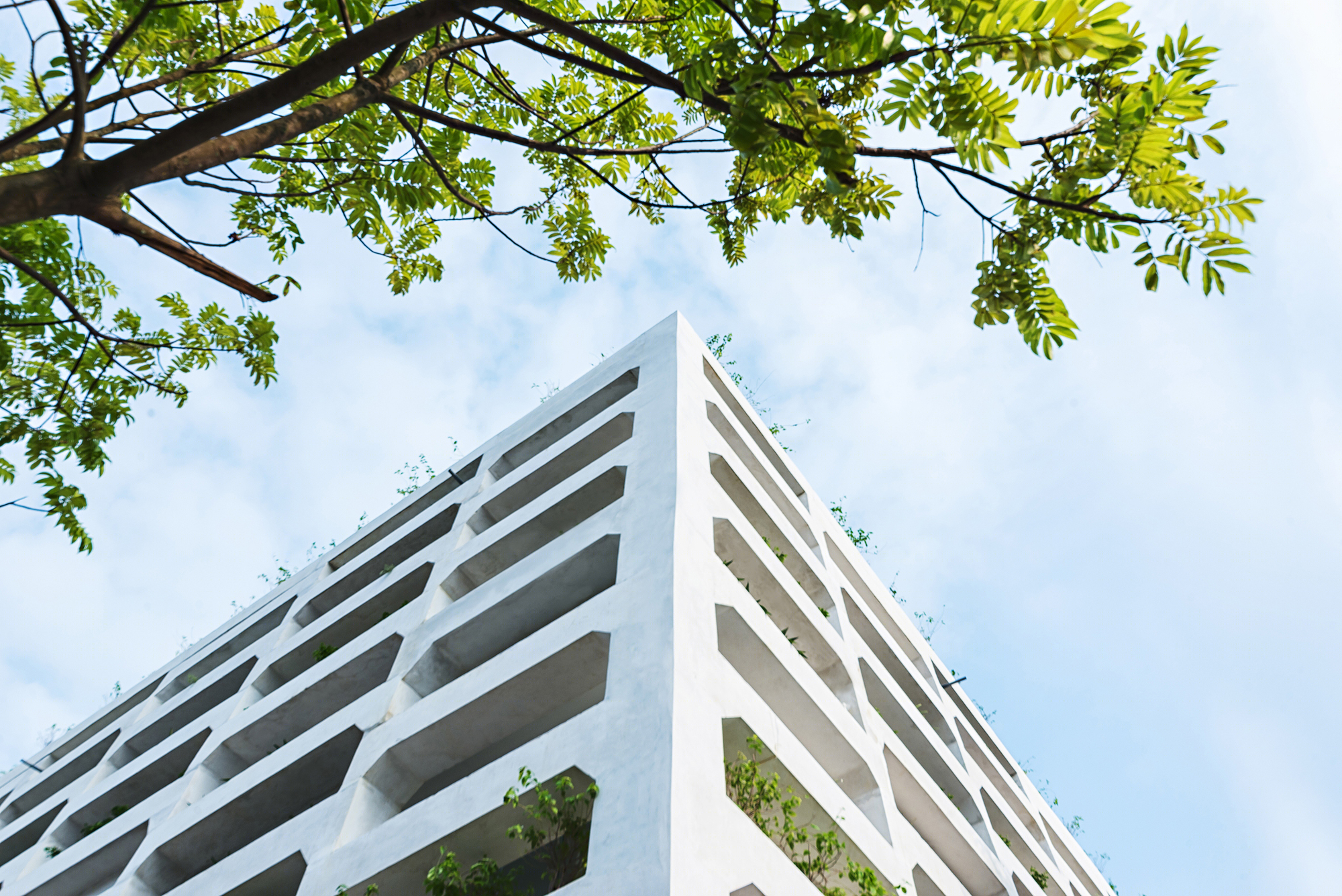 越南SRDP·IWMC办公楼丨H&P Architects-18