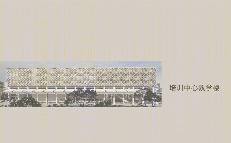 张浩丨中学丨大连市建设学校-29