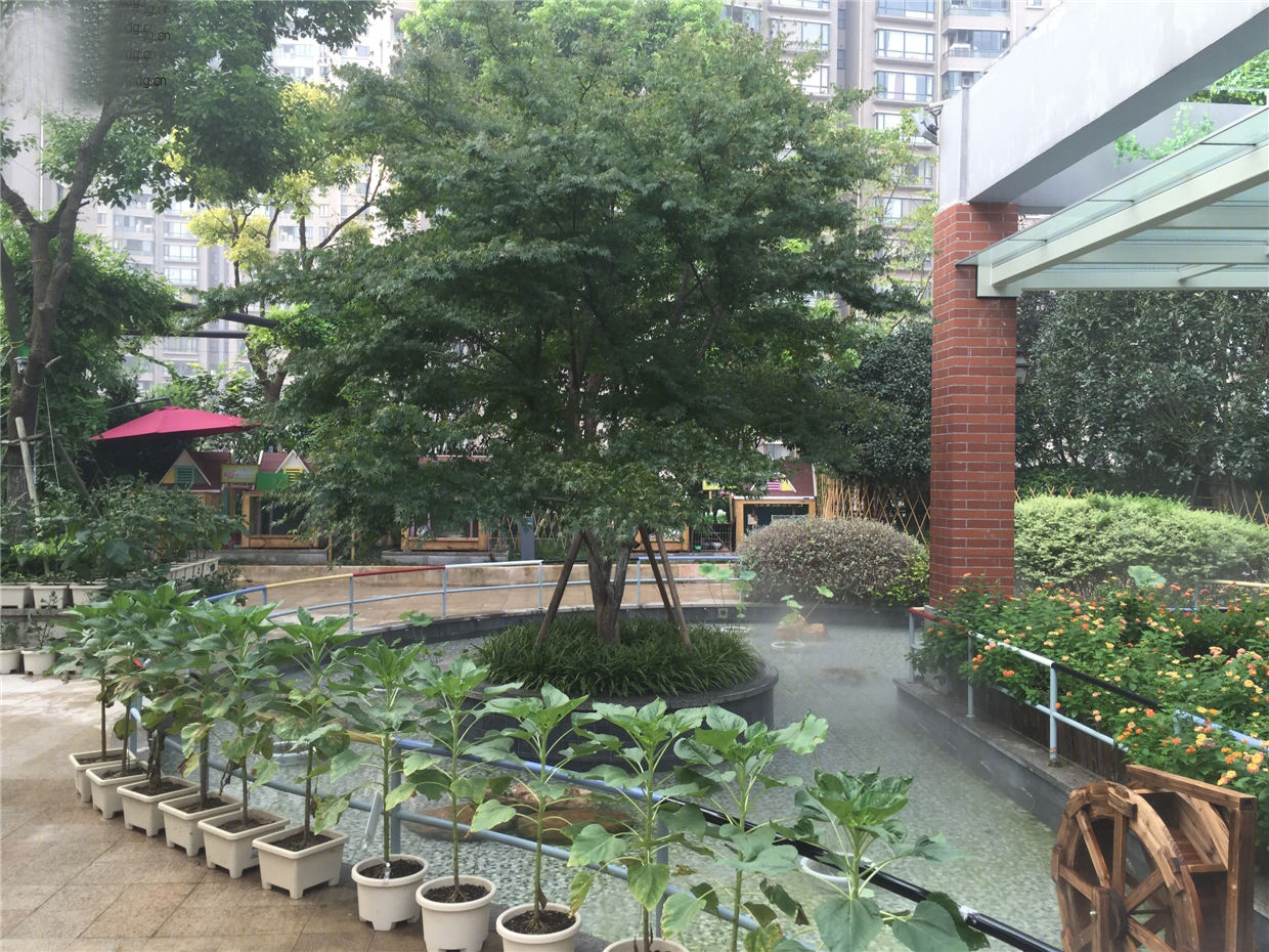 金虹桥国际中心屋顶花园景观-24