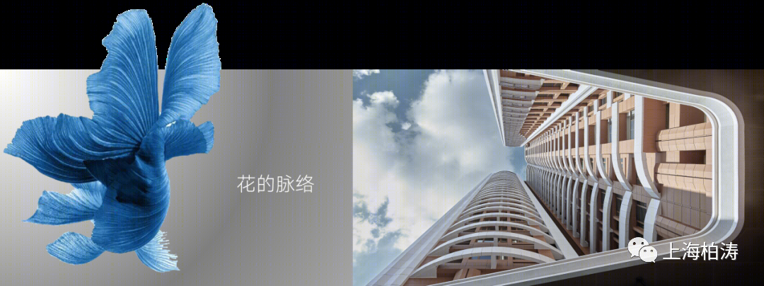 深圳实地·剑兰郡丨中国深圳丨PTA上海柏涛-12