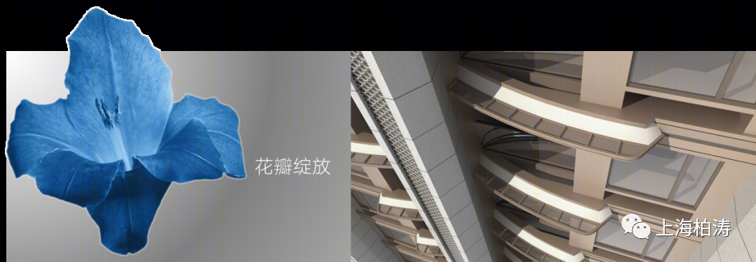 深圳实地·剑兰郡丨中国深圳丨PTA上海柏涛-15