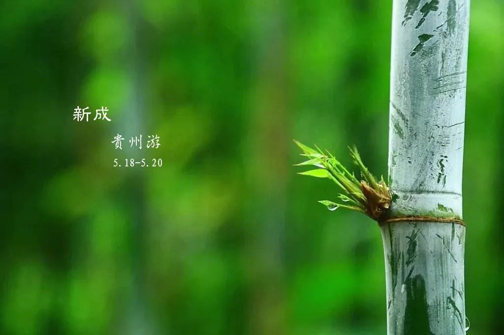 贵州赤水奇幻之旅 | 自然人文的和谐共生-16