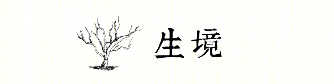 嘉樾府 | 山水入境,江南梦境-5
