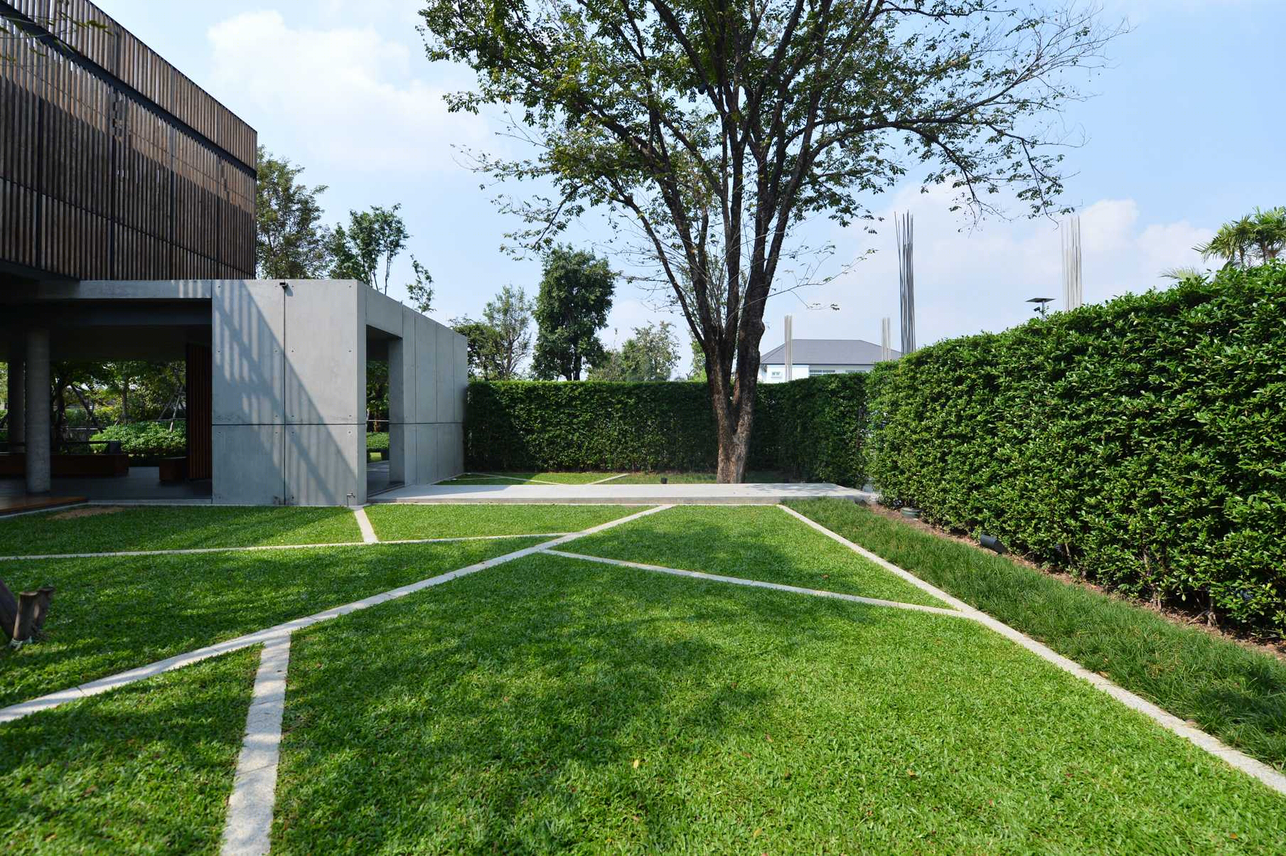 泰国 BAAN LADPRAO 住宅景观——绿色植物绿洲中的多功能区域-6