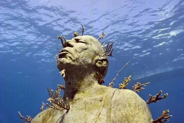 梦幻般的沉浸式设计,感受科技与艺术的交融-4