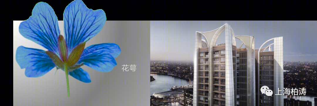 深圳实地·剑兰郡丨中国深圳丨PTA上海柏涛-18
