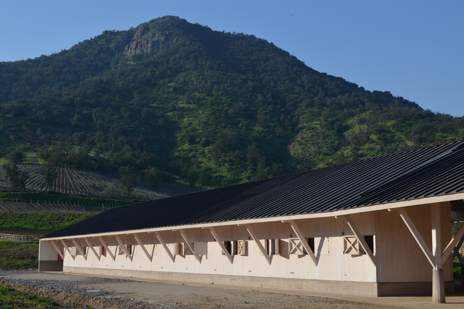 智利埃尔加莱诺马厩和仓库建筑-4