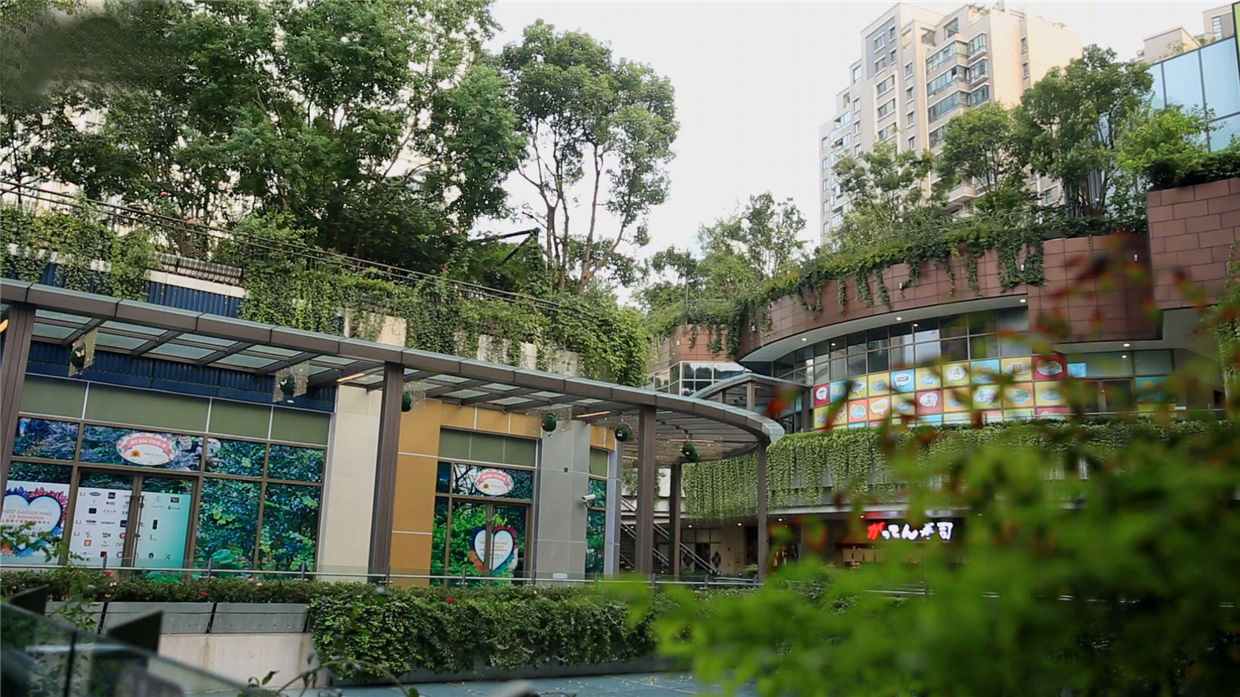 金虹桥国际中心屋顶花园景观-26