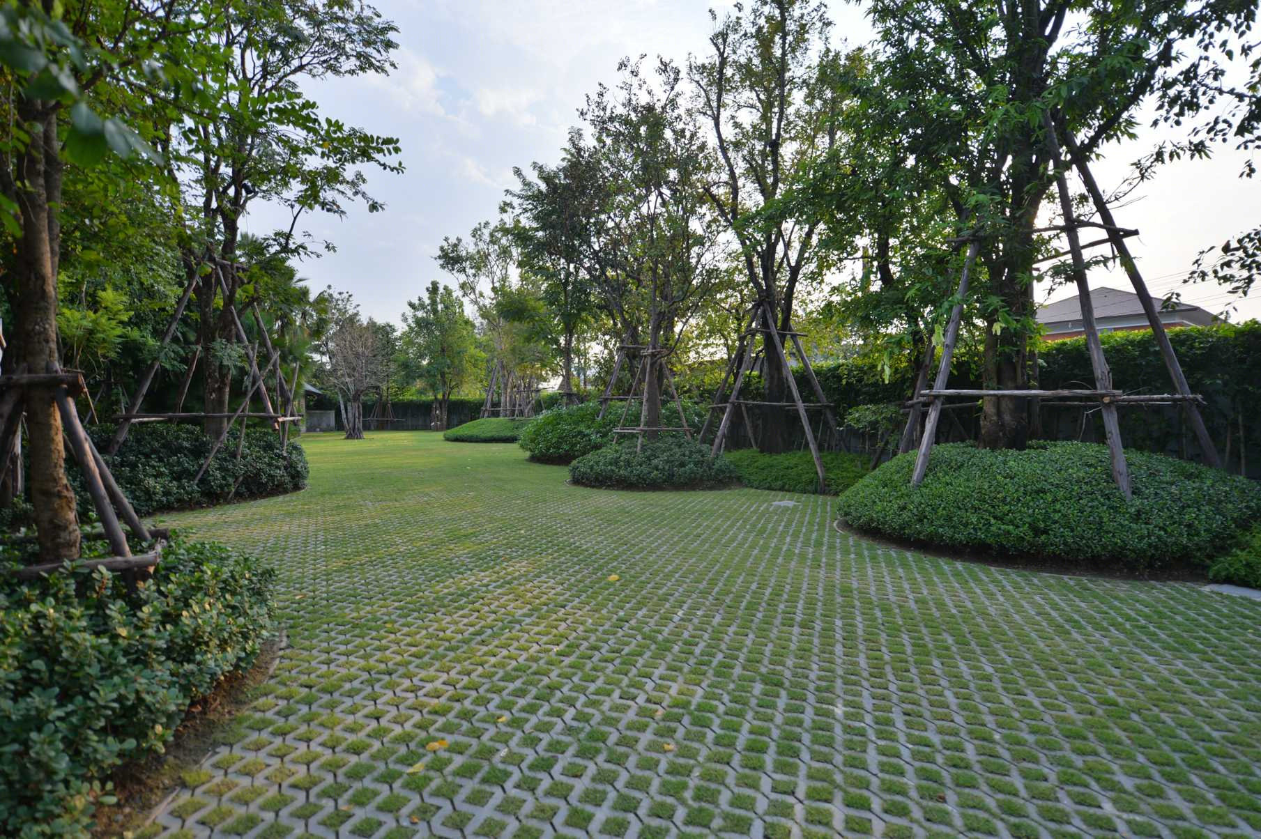 泰国 BAAN LADPRAO 住宅景观——绿色植物绿洲中的多功能区域-7
