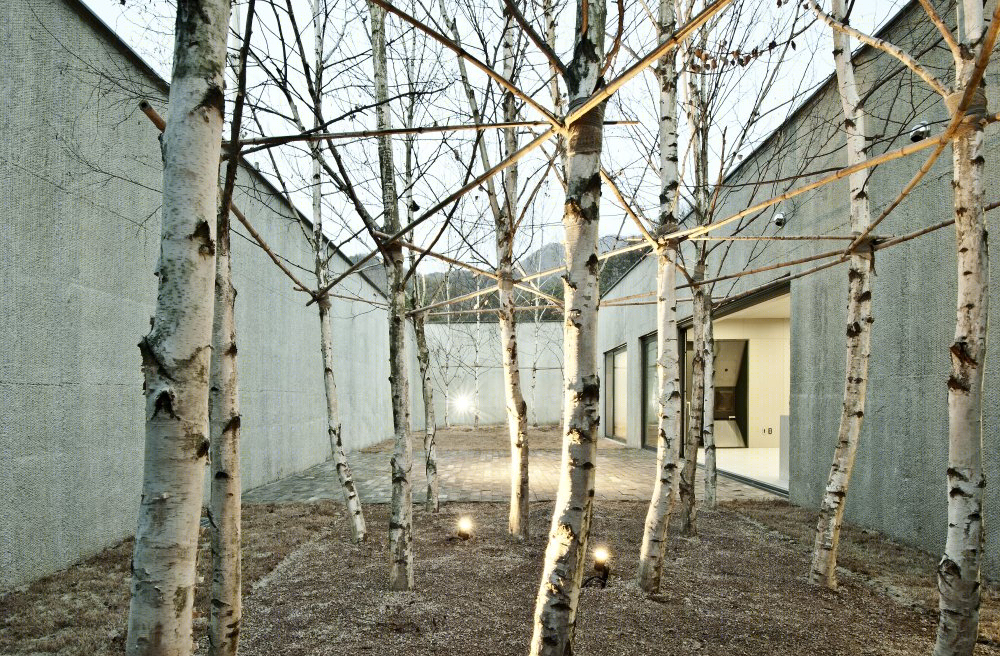 100A associates 韩国-22