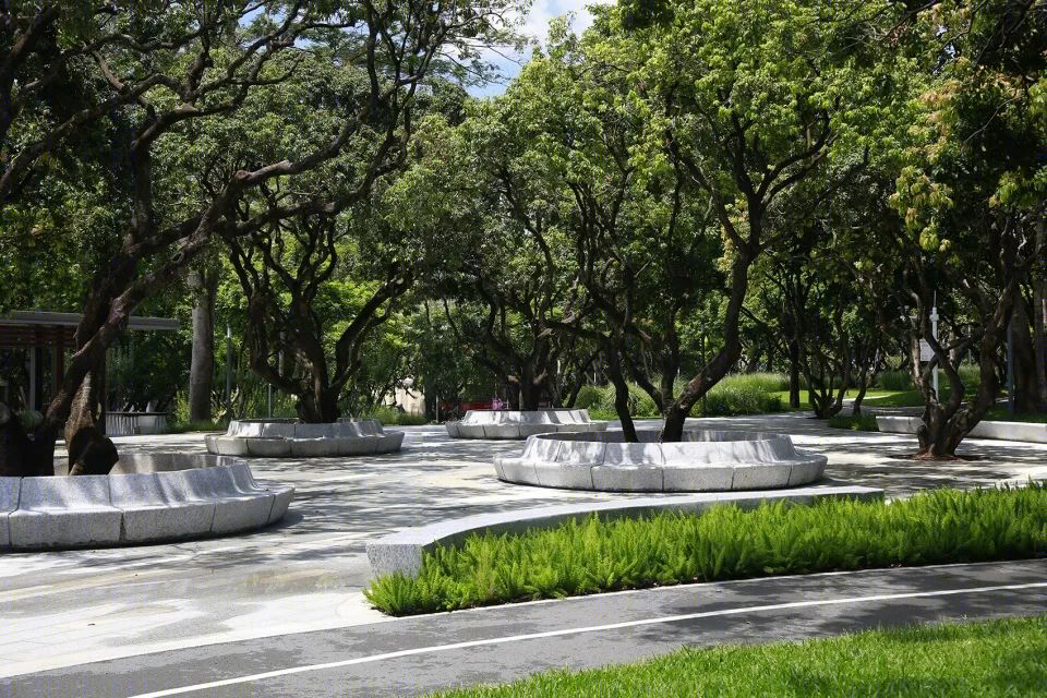 福田中康社区 | 56 棵荔枝树打造的多层次台地公园-39