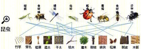 康养社区景观设计 · 以老人为中心,创造全浸润疗愈空间丨栖城景观设计团队-112