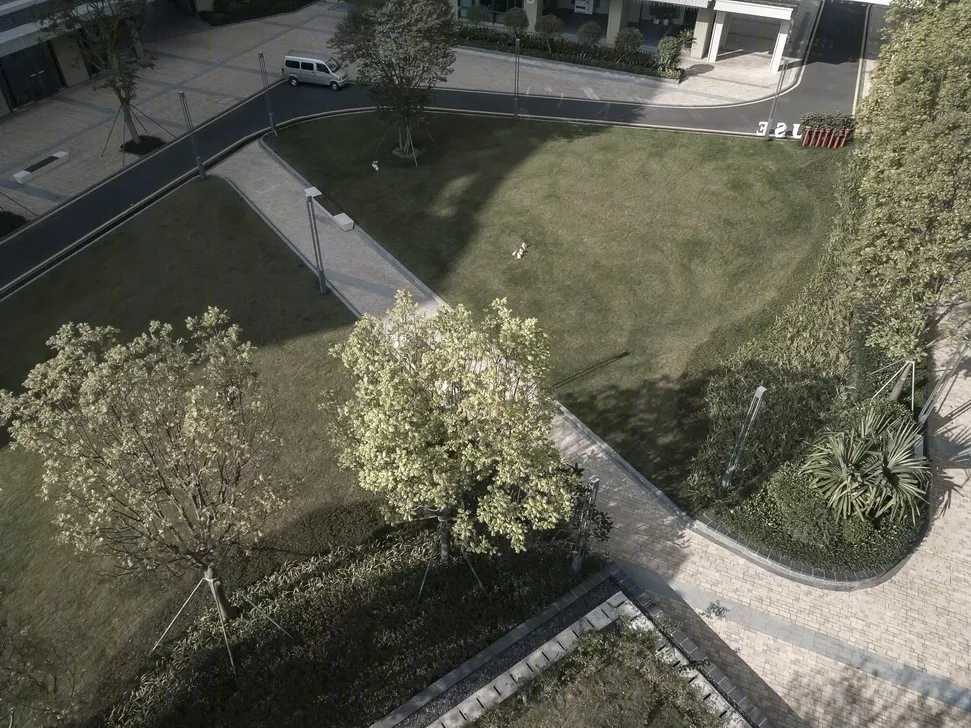 香港中文大学思廷学院-23