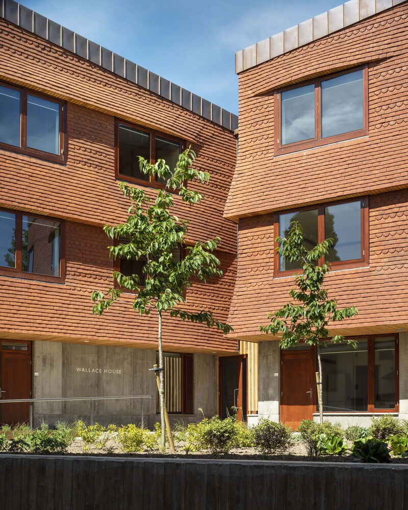 剑桥 36 Storey's Way 学生公寓丨英国剑桥丨Cottrell & Vermeulen Architecture-34