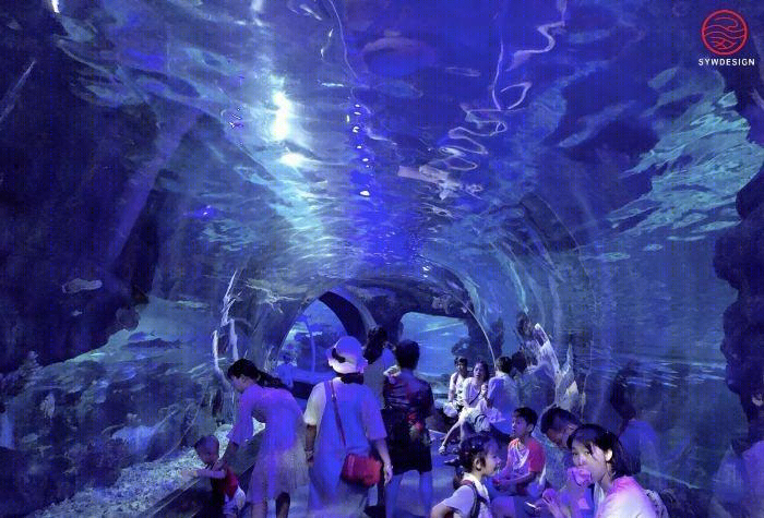 
海洋馆展示工程（海洋区） -6