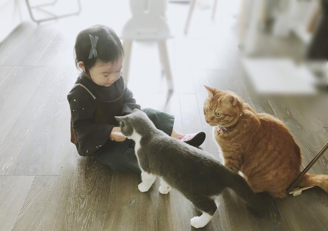 南京会筑设计 · 平层空间的多功能生活美学-5