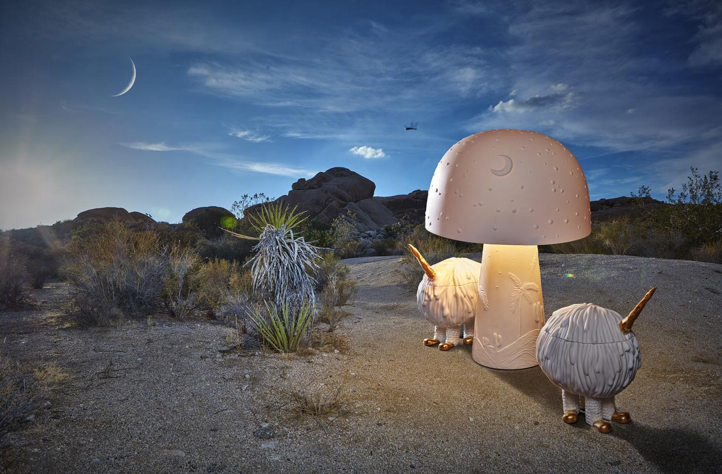 奇幻陶瓷 | Joshua Tree 中的 Haas L’Objet collection-40
