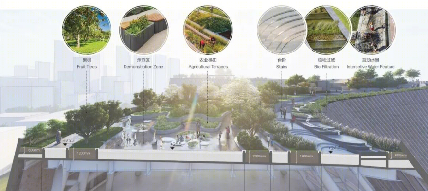 深圳自然博物馆丨贝加艾奇(B+H),3XN,筑博设计(联合体)-87