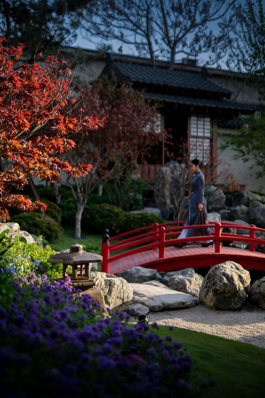 北京世茂天誉住宅景观丨中国北京丨麦田景观-5