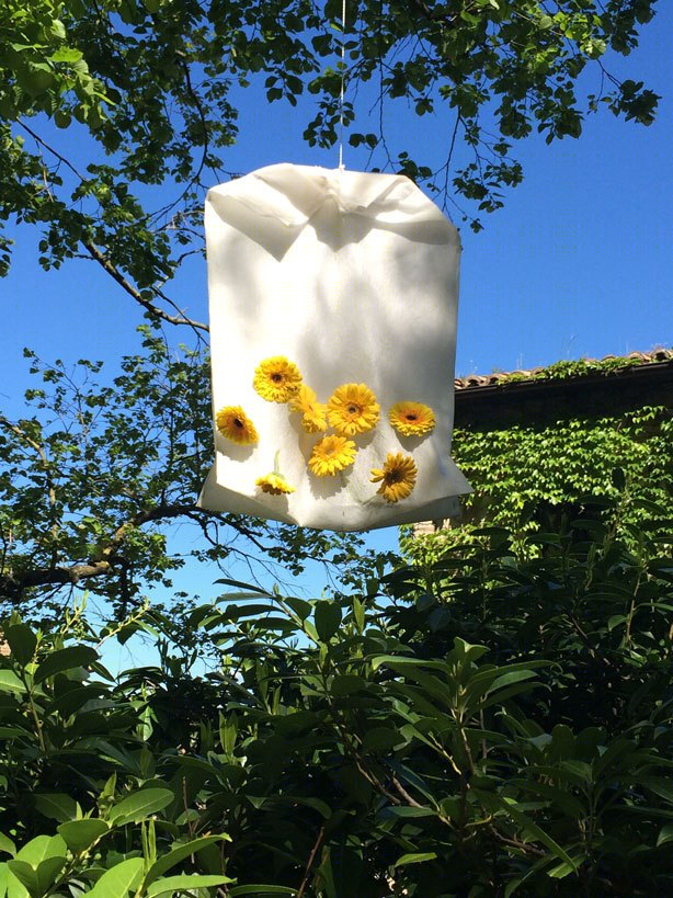 西班牙 Girona 花展 | Eiffel 设计的一座五彩斑斓的桥梁-16