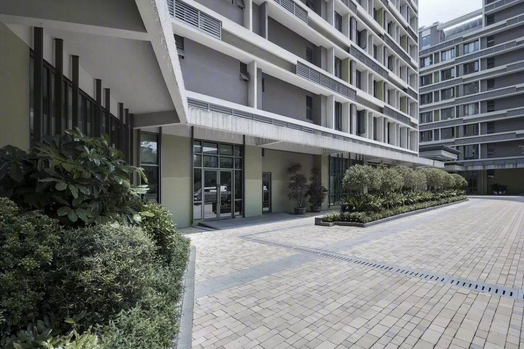 香港中文大学思廷学院-25