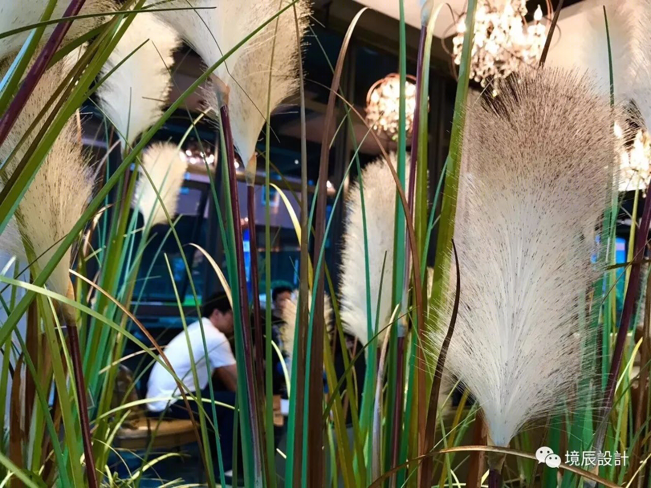 "芦苇从"咖啡馆 | 18 天打造的水岸美学空间-46