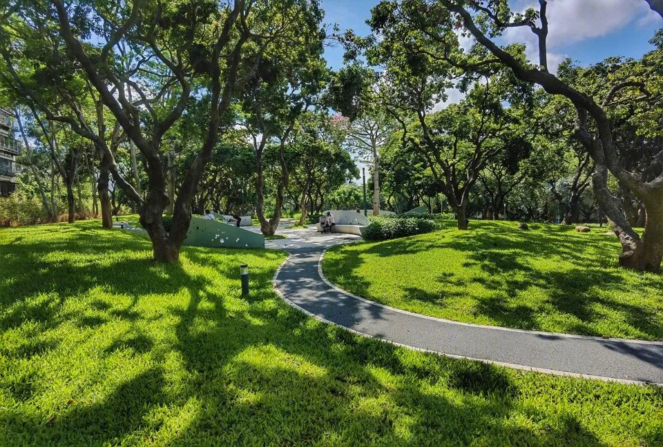福田中康社区 | 56 棵荔枝树打造的多层次台地公园-43