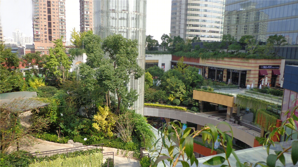 金虹桥国际中心屋顶花园景观-28