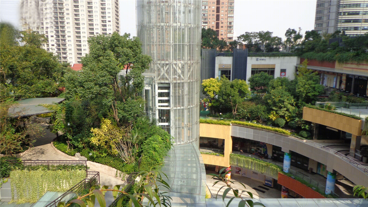 金虹桥国际中心屋顶花园景观-29