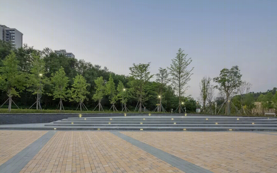 香港中文大学思廷学院-26