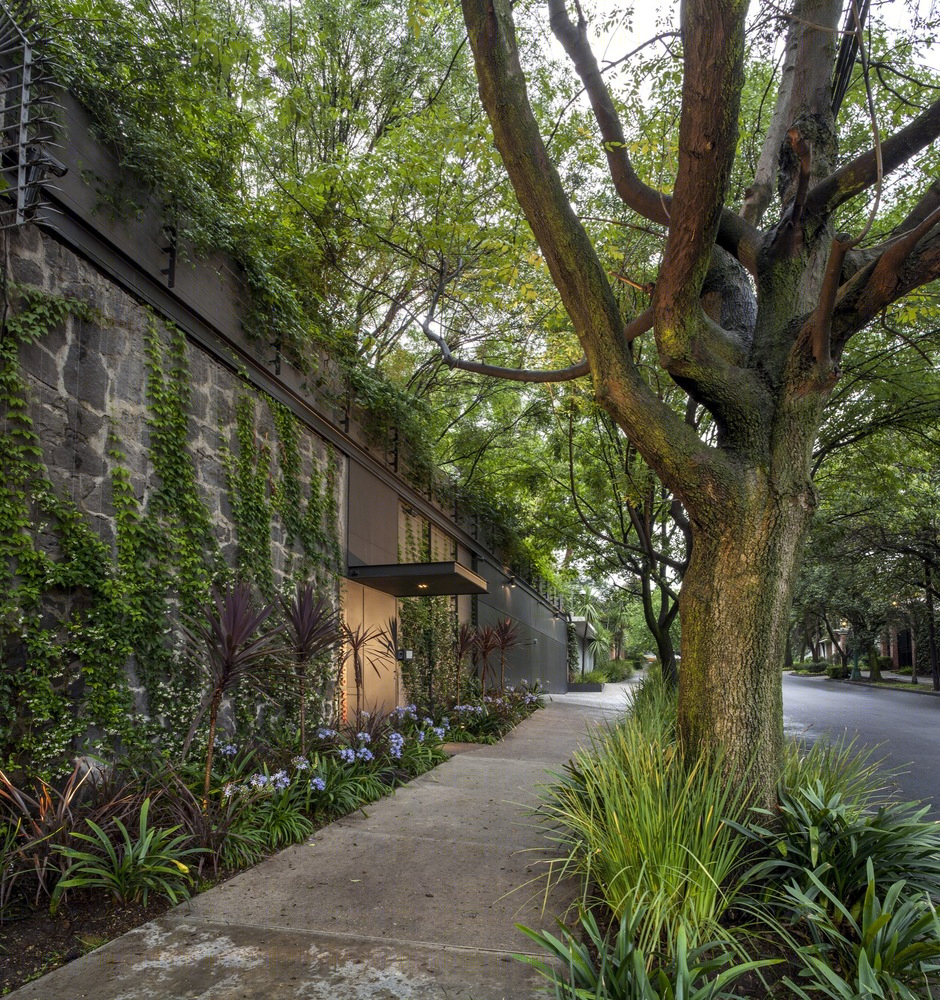 墨西哥 Casa O' 家庭住宅-7