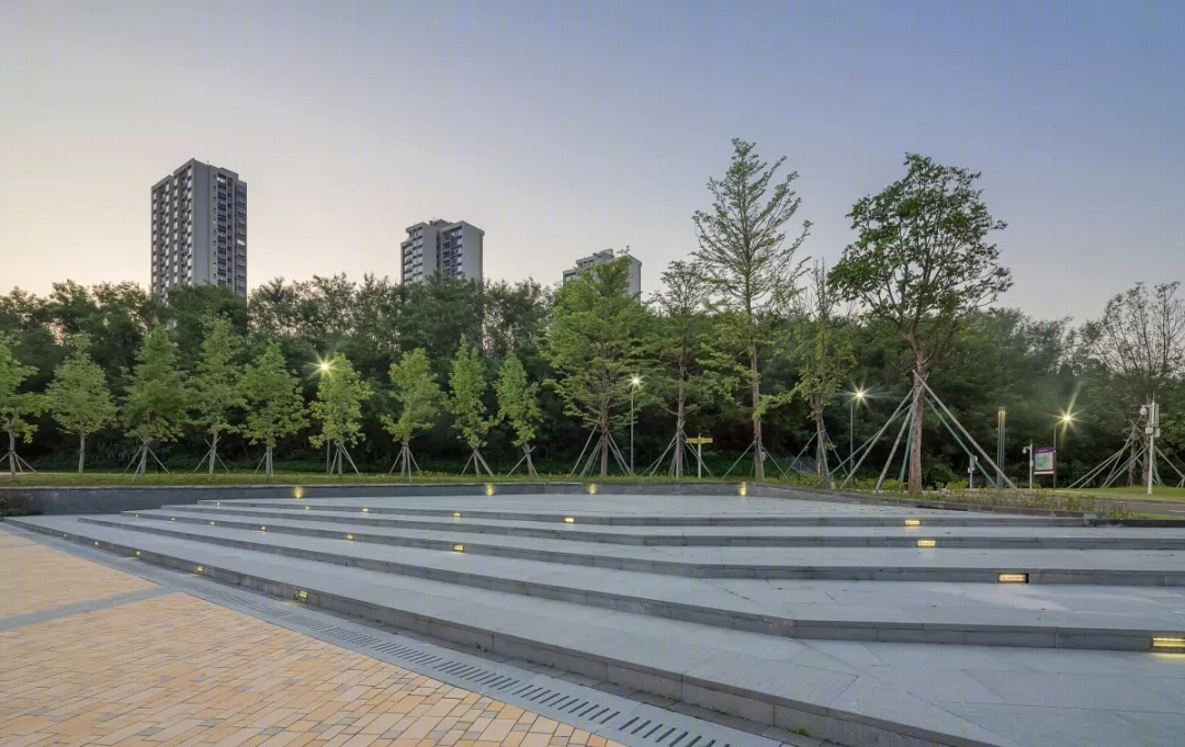 香港中文大学思廷学院-27