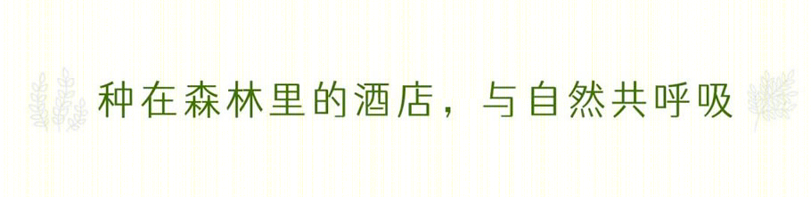 君澜·孟获城森林度假酒店丨中国雅安丨四川华泰众城工程设计有限公司-20
