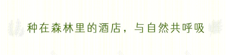 君澜·孟获城森林度假酒店丨中国雅安丨四川华泰众城工程设计有限公司-20