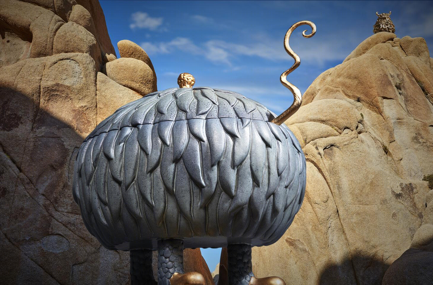 奇幻陶瓷 | Joshua Tree 中的 Haas L’Objet collection-45