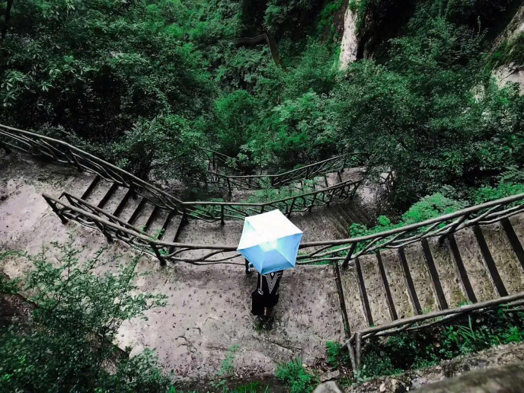 永嘉百丈瀑布之旅——清欢之始,自然之美-34