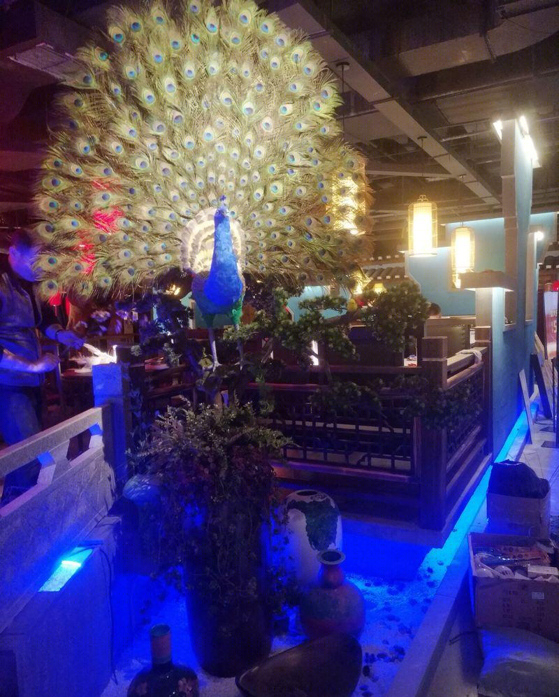 曹毅丨江西南昌吾悦广场偶屋里餐饮连锁-12