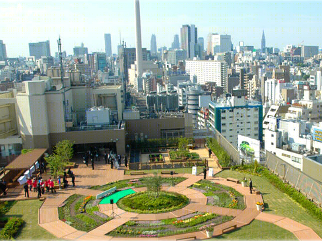 日本火车站屋顶变身社区农场-6