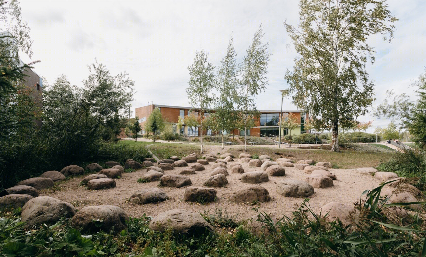 芬兰Kirkkojärvi学校-11