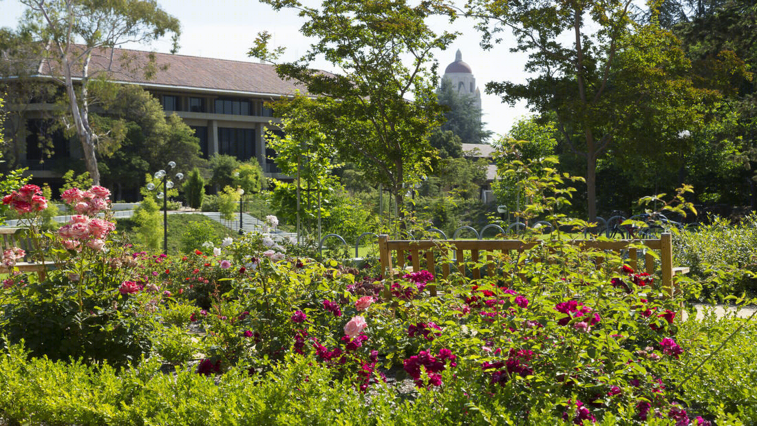 美国斯坦福大学Terman公园-21