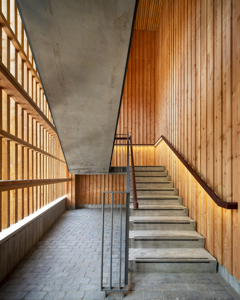 剑桥 36 Storey's Way 学生公寓丨英国剑桥丨Cottrell & Vermeulen Architecture-36